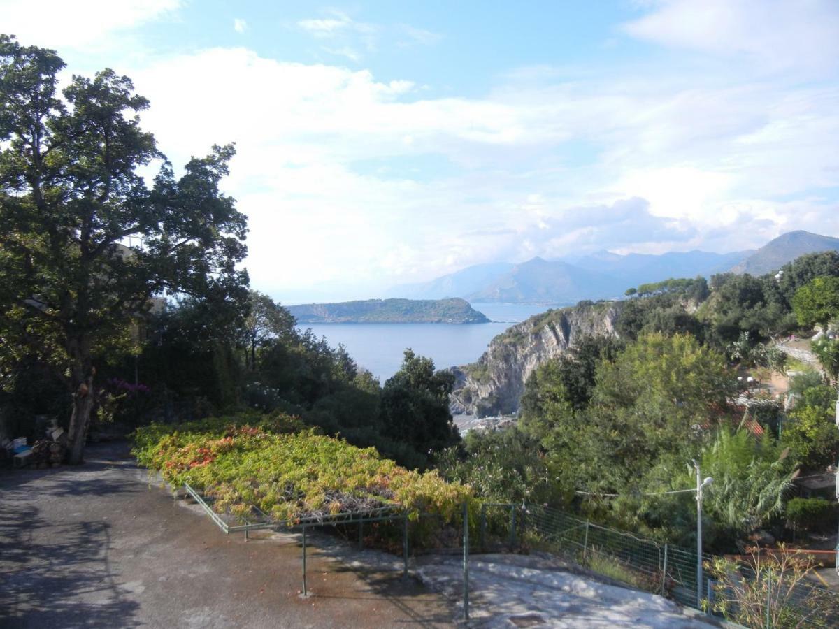 Albergo Il Brillantino San Nicola Arcella Exterior foto